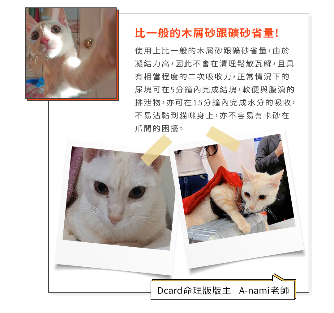 countdownmailcom