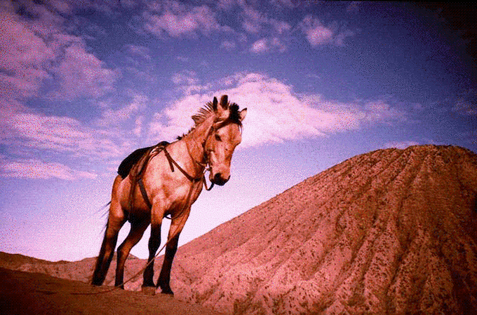 LomoChrome Metropolis XR 100400 Film 