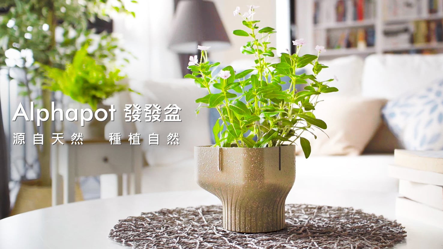 嘖嘖| 創新廚餘盆栽- Alphapot發發盆