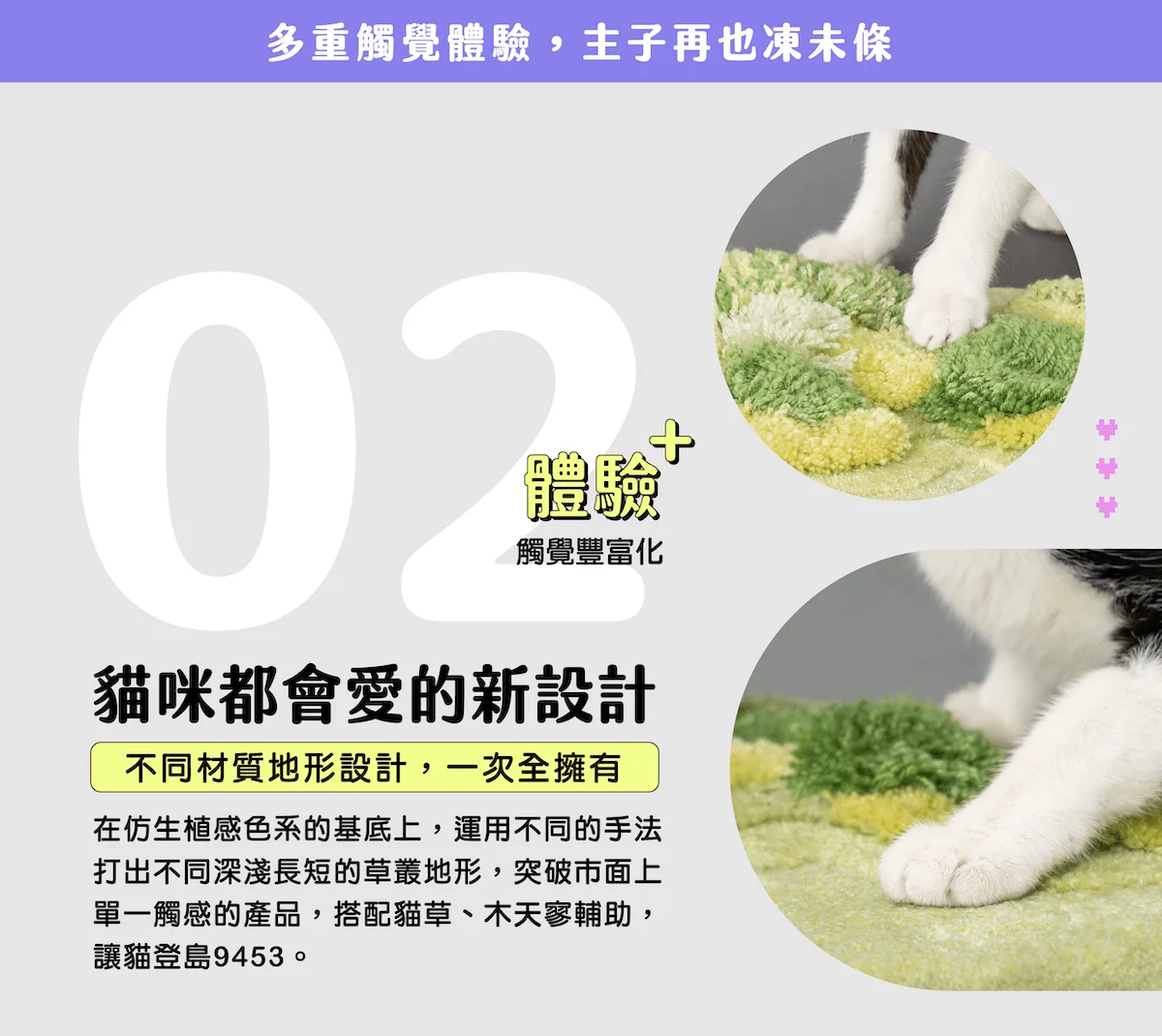 catisland introduction