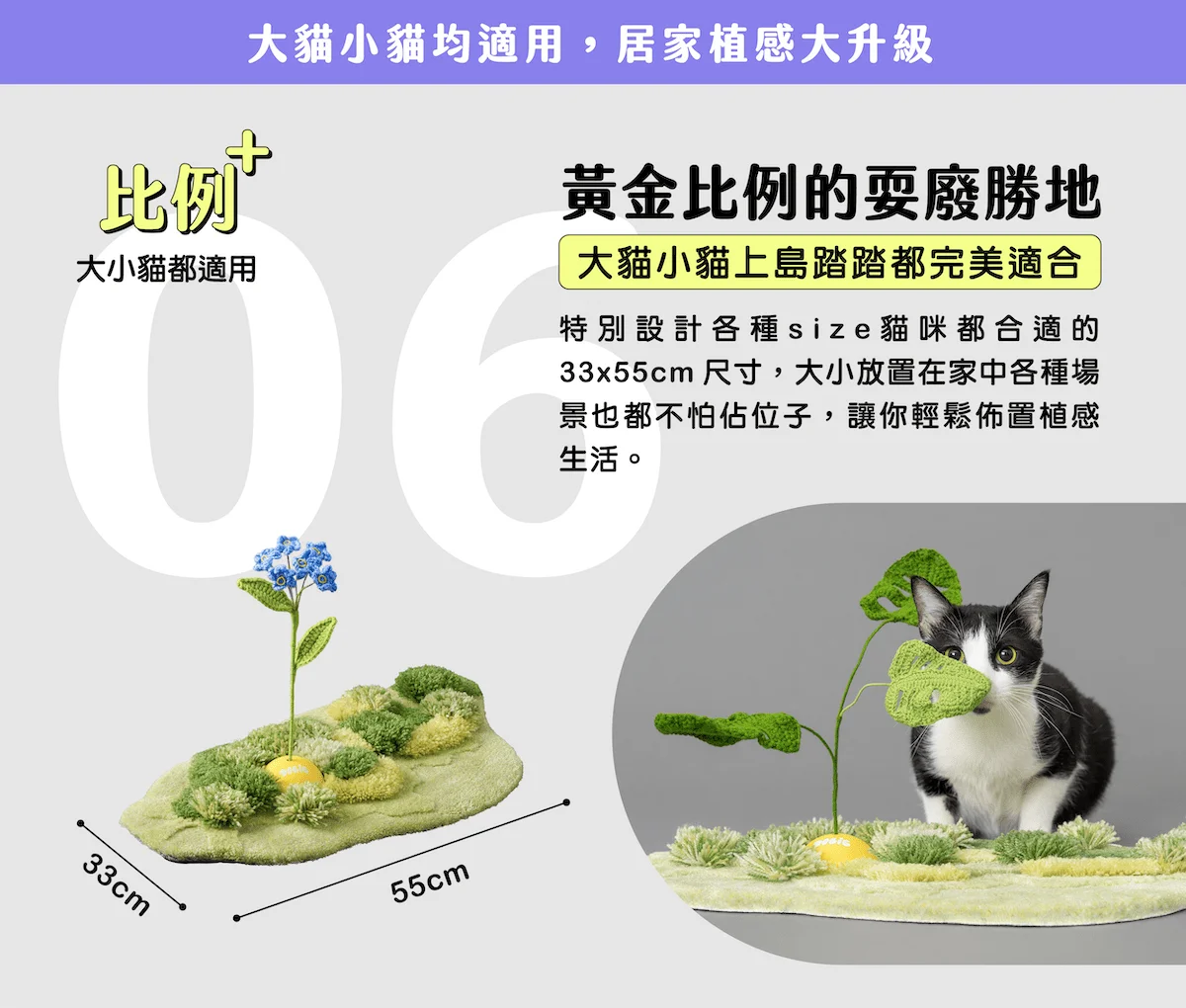 catisland introduction