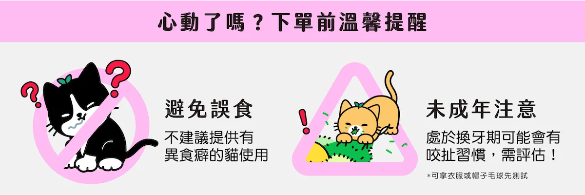 catisland warning
