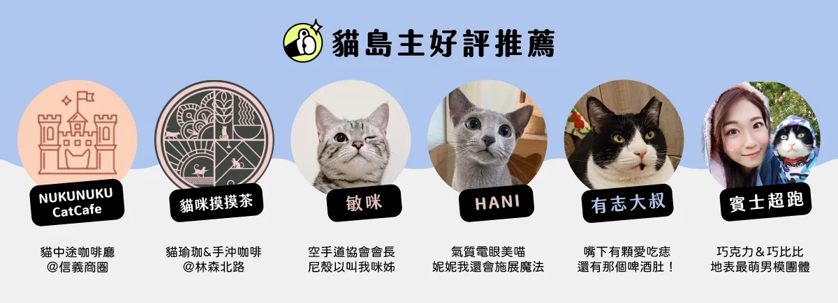 catisland recommended