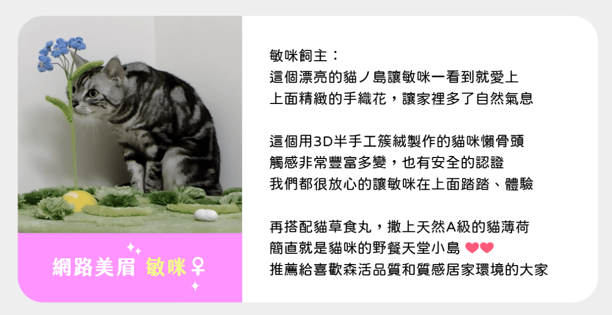 catisland opinion cat