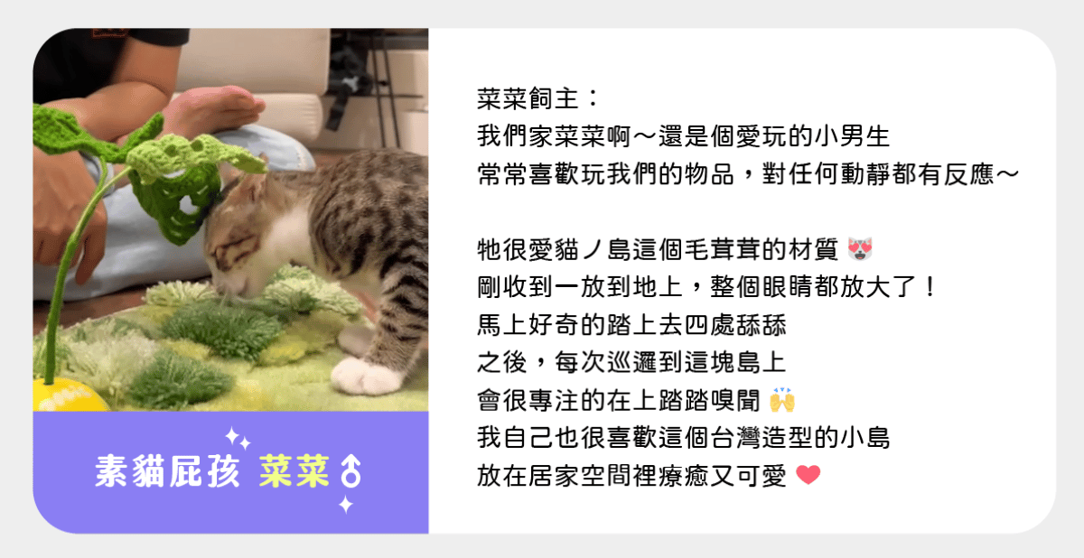 catisland opinion cat
