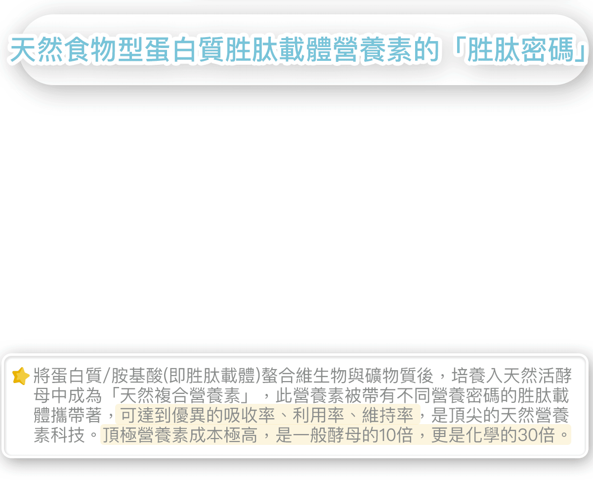 countdownmailcom